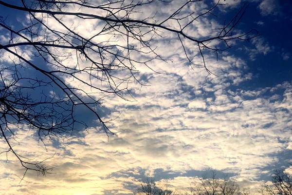 揚(yáng)州啟動(dòng)廢氣整治“百日攻堅(jiān)” 